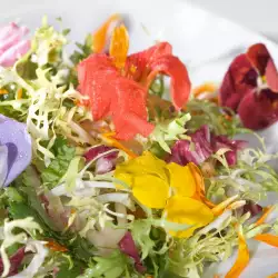 Salad with Herbs and Pumpkin Seeds