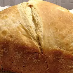 Rustic Bread in a Bread Machine