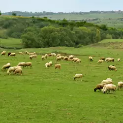 Съвети за фермери