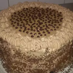 Čokoladna torta sa instant kafom