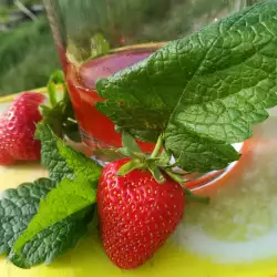 Acacia, Strawberry and Lemon Balm Syrup