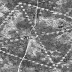 An Entire 260 Giant Geoglyphs in the Kazakhstan Desert Confound Scientists