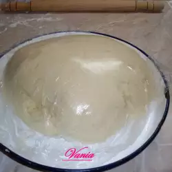 Refrigerator Dough