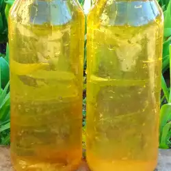 Nettle and Vinegar Tonic for Strengthening the Hair Roots