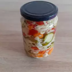 Mešana salata za zimu