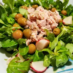 Salade van tonijn, radijs, rucola en valeriaan