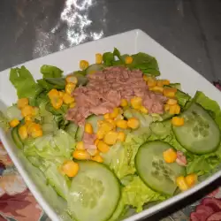 Green Salad with Tuna and Corn