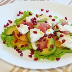 Zelena salata sa Buratom i citrusima