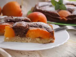 The Tastiest Apricot Cake