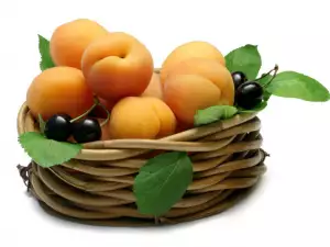 Apricots