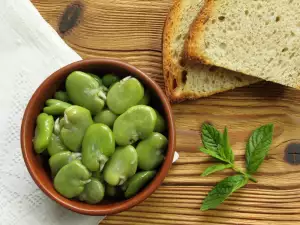 broad bean seeds