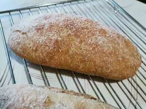 Volkoren ciabatta