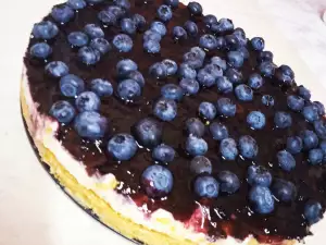 Cheesecake mit Heidelbeeren und Frischkäse