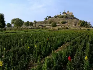 Great Pyramid of Cholula - San Pedro Cholula