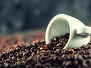 Cafea Robusta - ce trebuie să știm despre ea