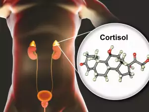 Какво представлява хормонът кортизол и какво му оказва влияние