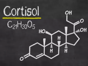 Кортизон - какво представлява?