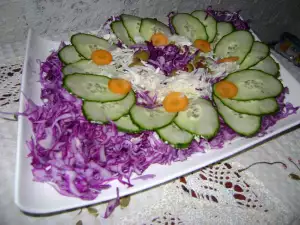 Šarena salata sa kupusom