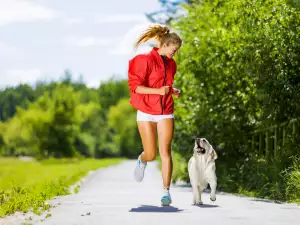 Породи кучета за хора без опит