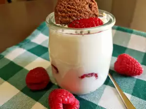 Zelfgemaakte Griekse yoghurt met frambozen en koekjes