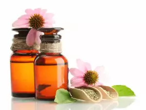 Echinacea oil