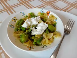 Farfalle mit Burrata