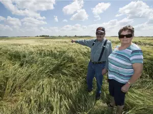 The True Story of a Canadian Farmer`s UFO Encounter! Read it Here