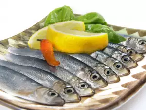 Sardines