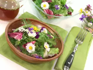 Fresh Salads with Arugula