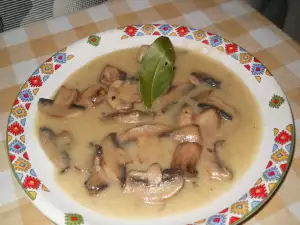 Mushroom Fricassee