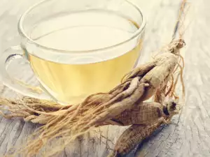 Japanese Ginseng - Composition, Benefits and Properties