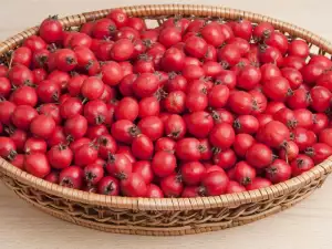 Hawthorn fruit