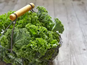 What is Kale Good for?