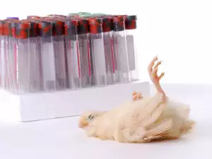 H5N1