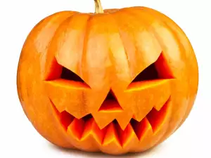 Why is the Pumpkin the Primary Symbol of Halloween?