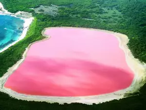 The Mystery of the Pink Lake Hillier