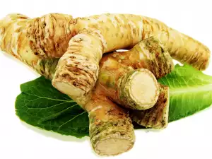 horseradish