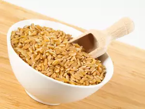 Khorasan wheat