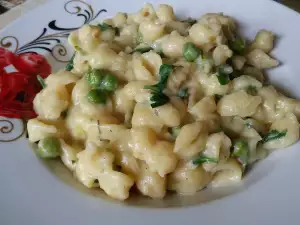 Conchiglie mit weißer Soße