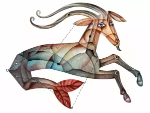 Capricorn