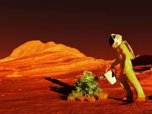 Smart Seaweed is the Key to Life on Mars!