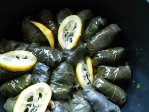 Dolmades mit Reis, Pilzen und Oliven