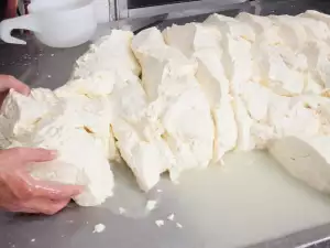 ¿Cómo madura el queso?