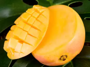 yellow mango