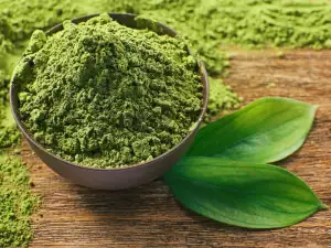 ¿Qué es Matcha?