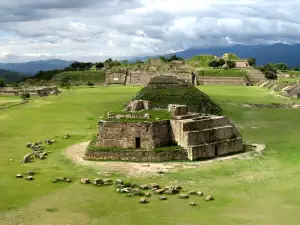 Mayan Ruins