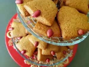 Retro honingkoekjes met pinda en kefir