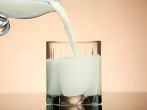 Cup of Milk