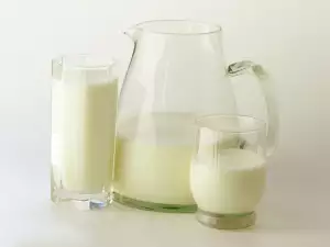 Milk Containers