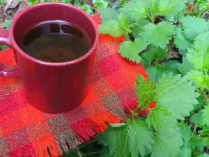 Nettle Tea for Good Blood Circulation